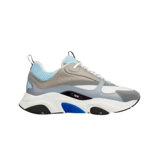 Dior B22- White Blue